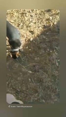 таня в LOOKY — публикация