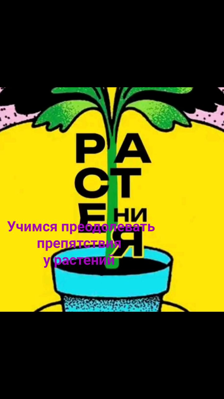 lifecoach_om в LOOKY. . Учимся преодолевать ...