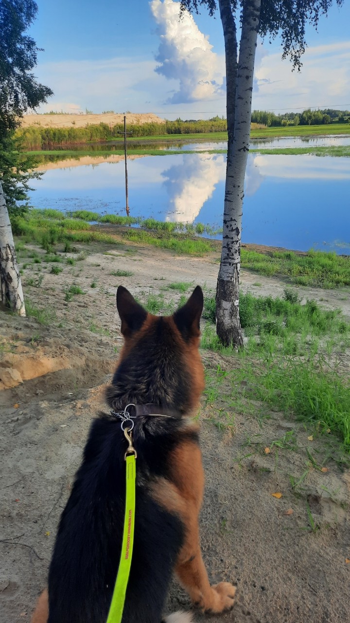 Если душа требует тишины, идите на свидание с природой...🍀