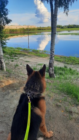 el_enohka2206 в LOOKY. . Если душа требует ти...