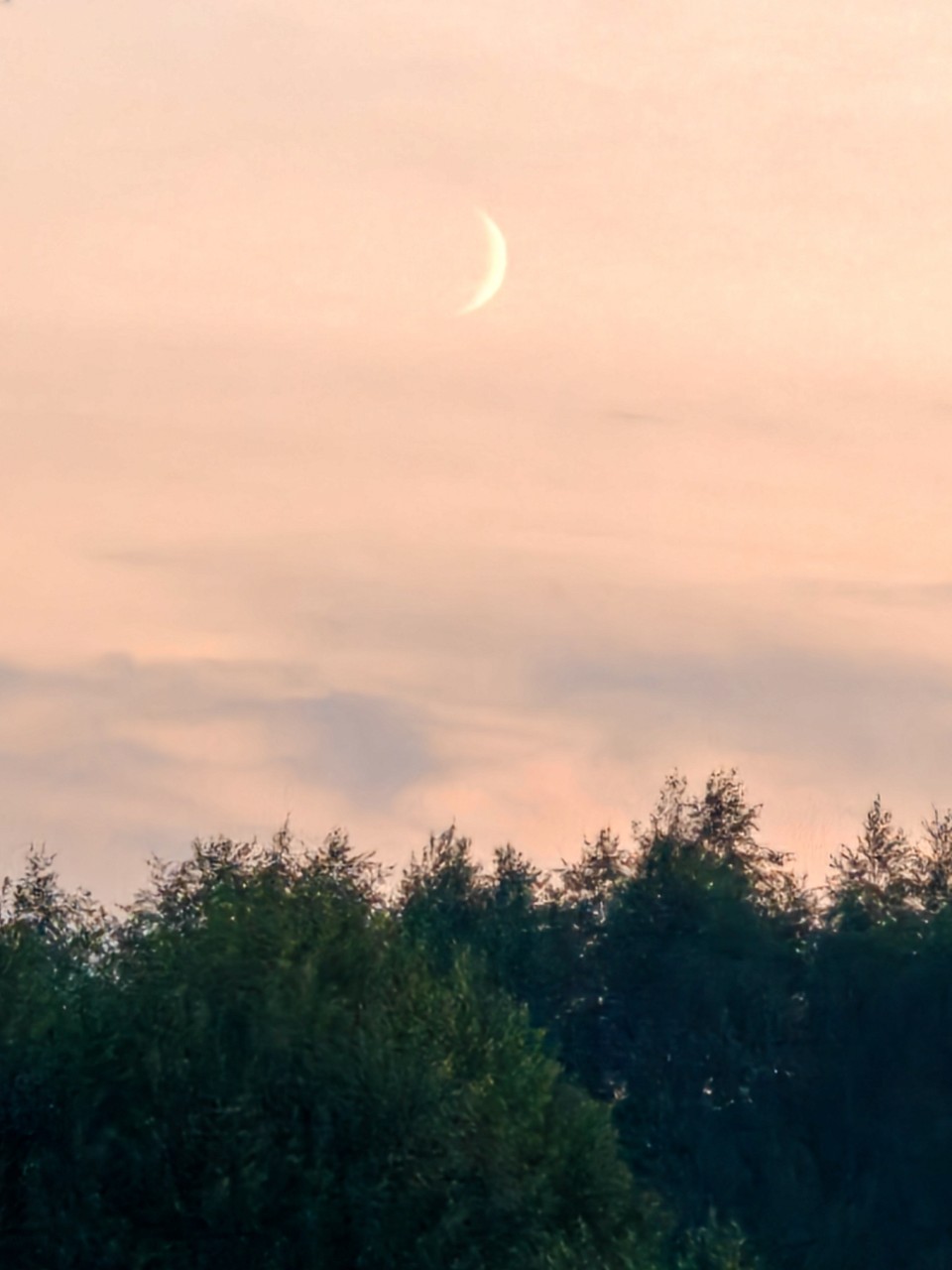 poboruev_landscape in LOOKY