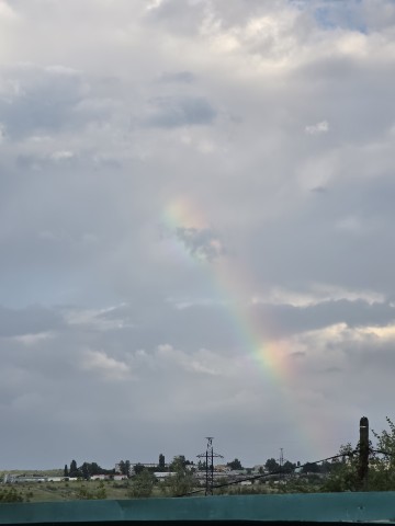 samitrot22 в LOOKY. . 🌈