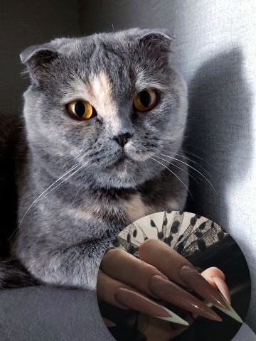 Ксения в LOOKY. . 