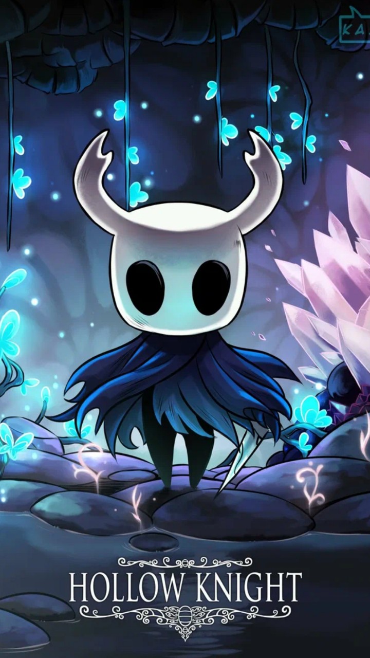 HOLLOW KNIGHT