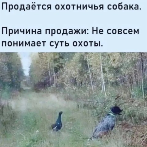 Looky_1698439775933 в LOOKY. . 
