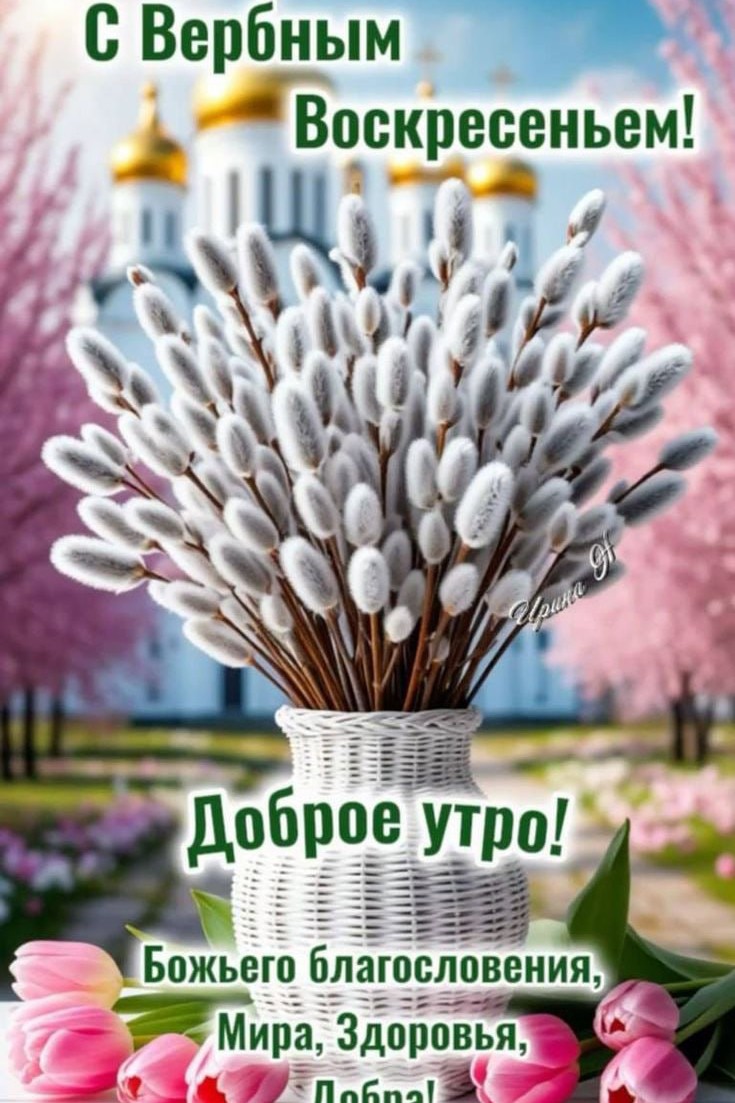 📅Цифры говорят
🌠Звёзды советуют
Прогноз на 5.04

✨Помните: люди вас критикуют, потому что завидуют вашему свету и устали от собственной тени

💥Аффирмация:
Я открываю своё сердце для радости и счастья

⚡️Идей и желаний будет очень много
⚡️Составьте список дел и выполняйте их последовательно, не беритесь сразу за несколько
⚡️Пойте, читайте вслух
⚡️Обязательно хвалите себя
⚡️Возможны перепады давления, головные боли
⚡️Сегодняшние события, мнения, люди отражают вас самих, ваше внутреннее состояние
⚡️Здоровье: противопоказано пьянство и курение. Отложите хирургическое вмешательство. Обратите внимание на почки. Берегитесь от травм и повреждений
⚡️Диета: больше орехов, немного мяса. Прислушайтесь к желаниям организма
⚡️Сны: если во сне вы агрессивны, то стоит задуматься, почему такая негативная энергия сидит в вас? Сны указывают на вашу потаенную сущность
⚡️Бизнес и деньги: отложите важные дела и переговоры. Успешно решаются простые финансовые вопросы
⚡️Отношения: первая половина дня- время конфликтов, неожиданных неприятностей, ссоры и непонимание с близкими
⚡️Покупки: можно только зеркала, кристаллы
⚡️Садоводство: посев, посадка, пересадка. Прививка, подкормка, прополка
⚡️Предупреждение: день требует рассудительности и осторожности, не подходит для работы с запахами
⚡️Вечер проведите в общении

Хорошего дня💛

#посевпосадка #нашасущность
#ссорыконфликтыотношения #зеркалакристаллы #почкитравмы