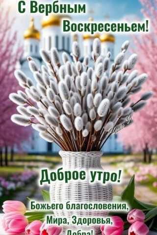 Таша Светлая в LOOKY. #посевпосадка,#нашасущность,#ссорыконфликтыотношения,#зеркалакристаллы,#почкитравмы. 📅Цифры говорят
🌠Зв...