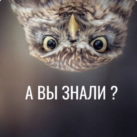 Ольга Фетисова в LOOKY. #ОСАГО,#продажаавто,#страхование,#возвратденег,#авто,#страховойагент,#выгода. 🚗 Продаёте автомоби...