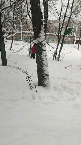 storge в LOOKY. . Все на лыжи и коньки...
