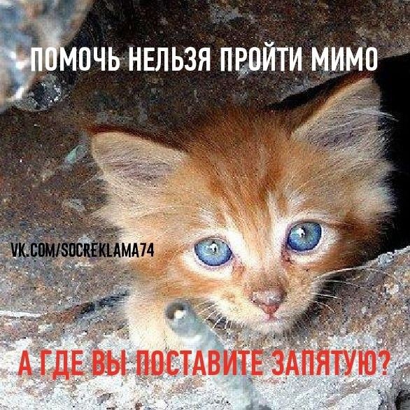 Zoozashita_1784473998Masha в LOOKY — публикация