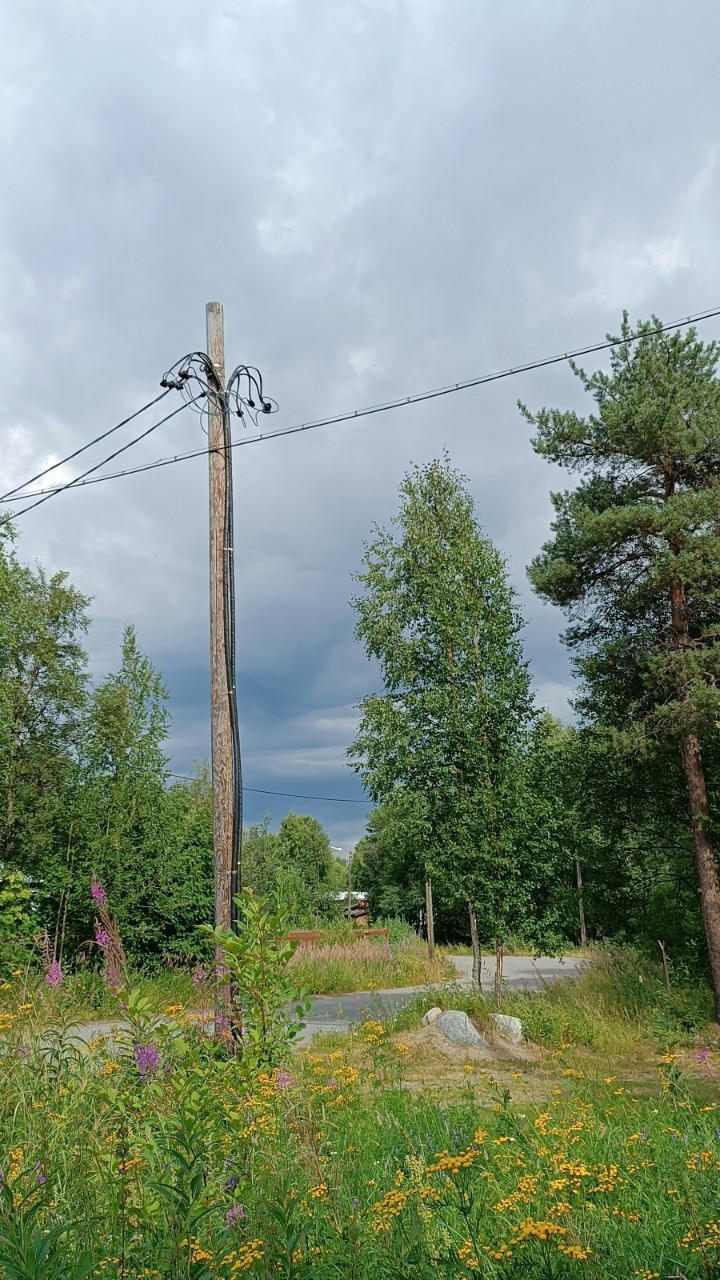 olyushka07