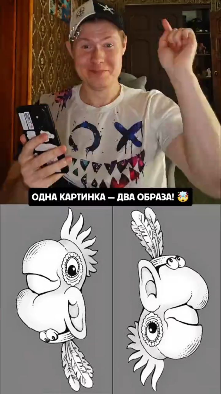 Hardetskiy_official в LOOKY. #иллюзии,#мозг,#переворот,#оптическаяиллюзия,#приколы,#рек,#вконтакте,#мозголом. Пацаны, это просто п...