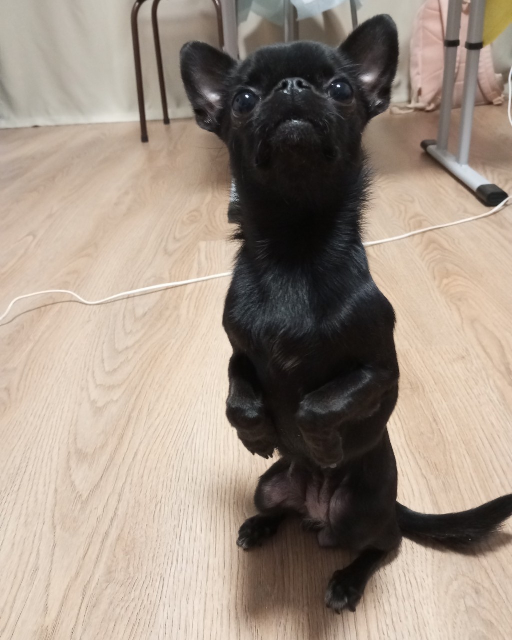 🥰🥰🥰