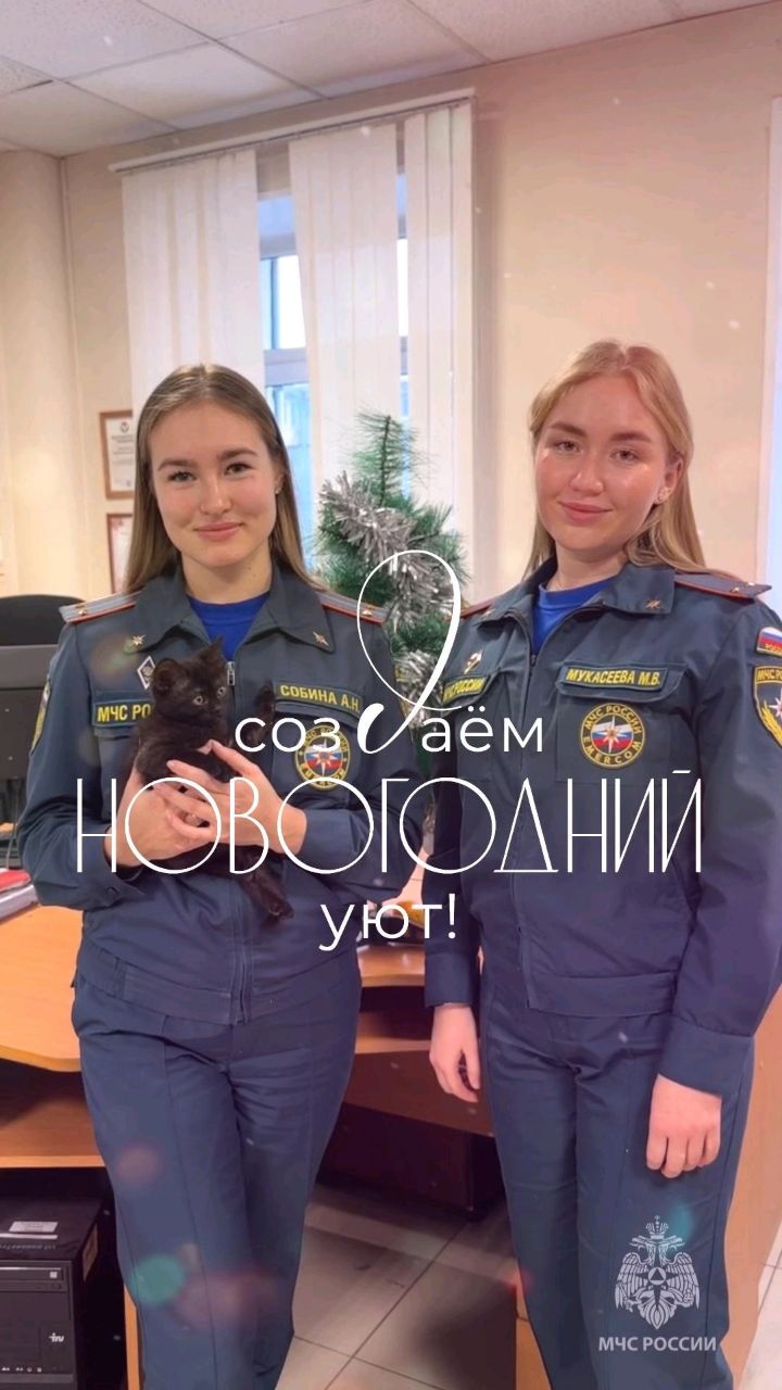 mchs18 в LOOKY. #мчс#котик#новыйгод. А ты, нарядил ёлку? ...