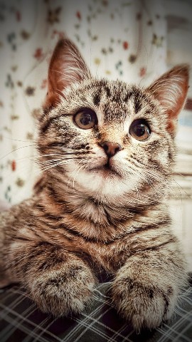 happy.asya.look в LOOKY. . Привет, привет! 🤗 П...