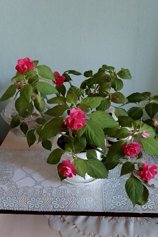 Таня Чаженская в LOOKY. . Сегодня у меня появи...