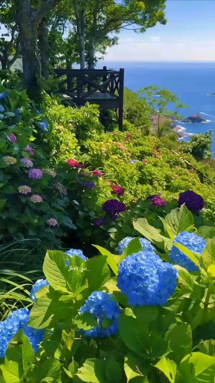 Svet_ya_ в LOOKY — ☀️🌊Прекрасного, уютного и вдохновляющего субботнего дня! Пу