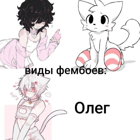 FemboyQQ в LOOKY. #femboy,#femboys,#femboytwink,#cuteboys,#meme,#femboymeme,#Oleg,#furry,#furryfemboy. Виды Фембоев:

#femb...