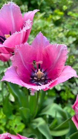 Давид в LOOKY. #старыйоскол,#снятонаiphone,#природа,#деньфотографа. С Днём Фотографа, др...