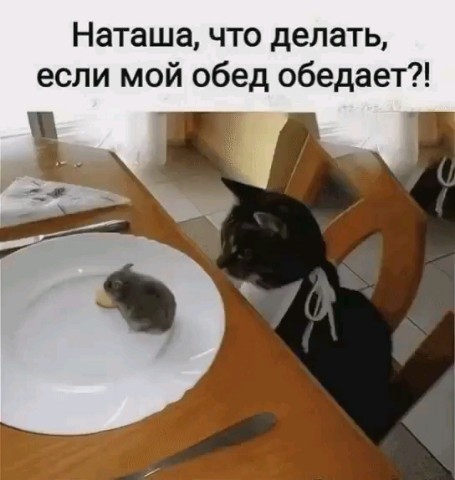 Игорь в LOOKY — публикация