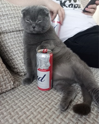 Looky_1708936222943 в LOOKY. . [#энгельс](энгельс) ...