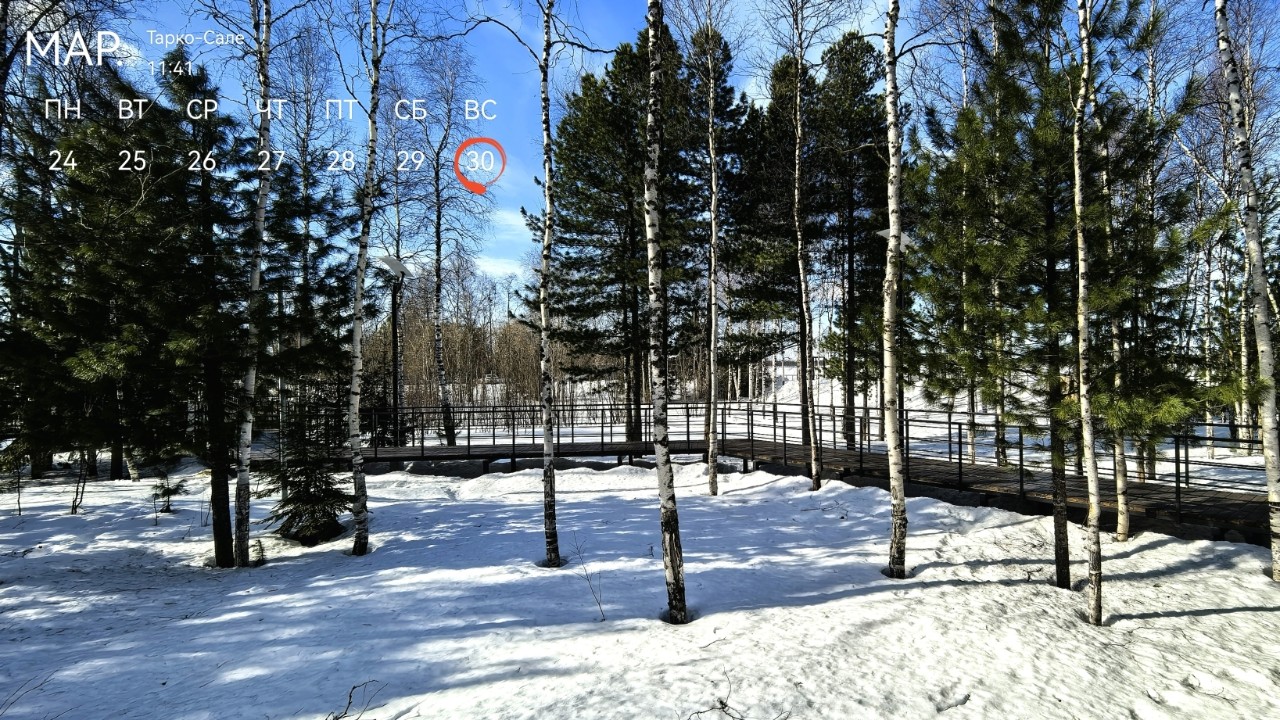 Весеннее настроение у реки Пур 🌿❄️  

Яркое солнце, ослепительный снег и свежий ветерок — весна врывается в наш северный край! 🌞💨 Березки рисуют на белом полотне длинные тени, будто штрихи угля на чистом листе. А в воздухе уже чувствуется дыхание тепла — скоро лед растает, и река запоет по-новому.  

Кто еще любит эти первые весенние деньки? 😊✨  

#ВеснаНаСевере #Пур #СолнечныйДень #ПриродаСевера #Березки #СнегИСолнце