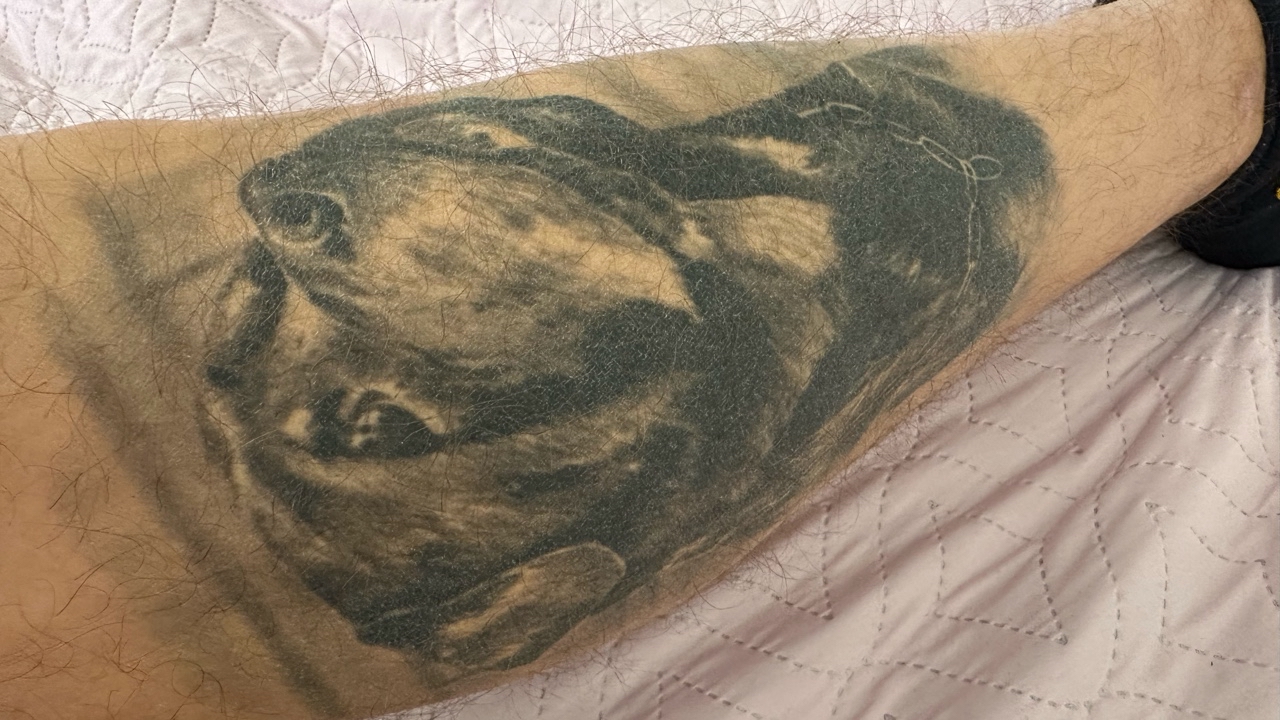 По всем признакам я пес!