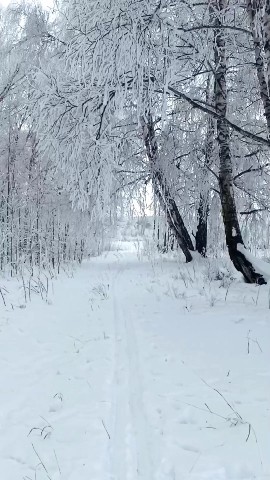 Дмитрий в LOOKY. #зима,#снег,#природа,#winter. #зима #снег #природа...