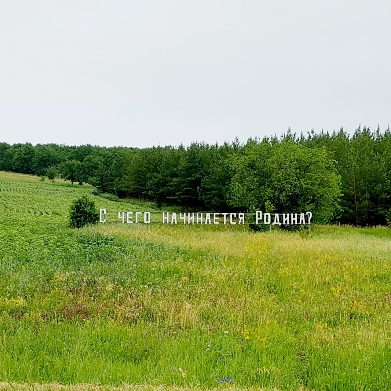  в LOOKY — #мойуголок #местомоейсилы