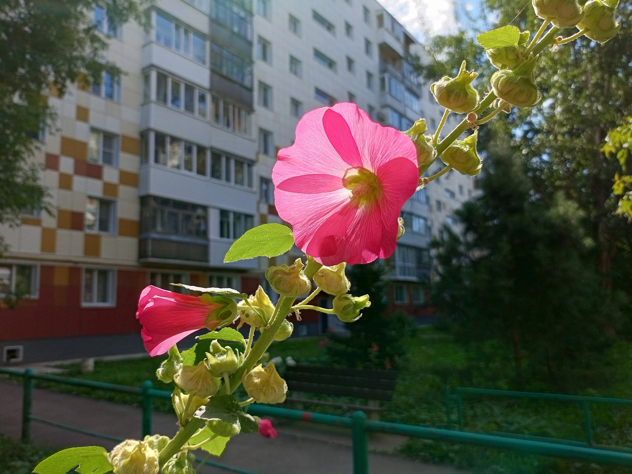  в LOOKY — #пермь