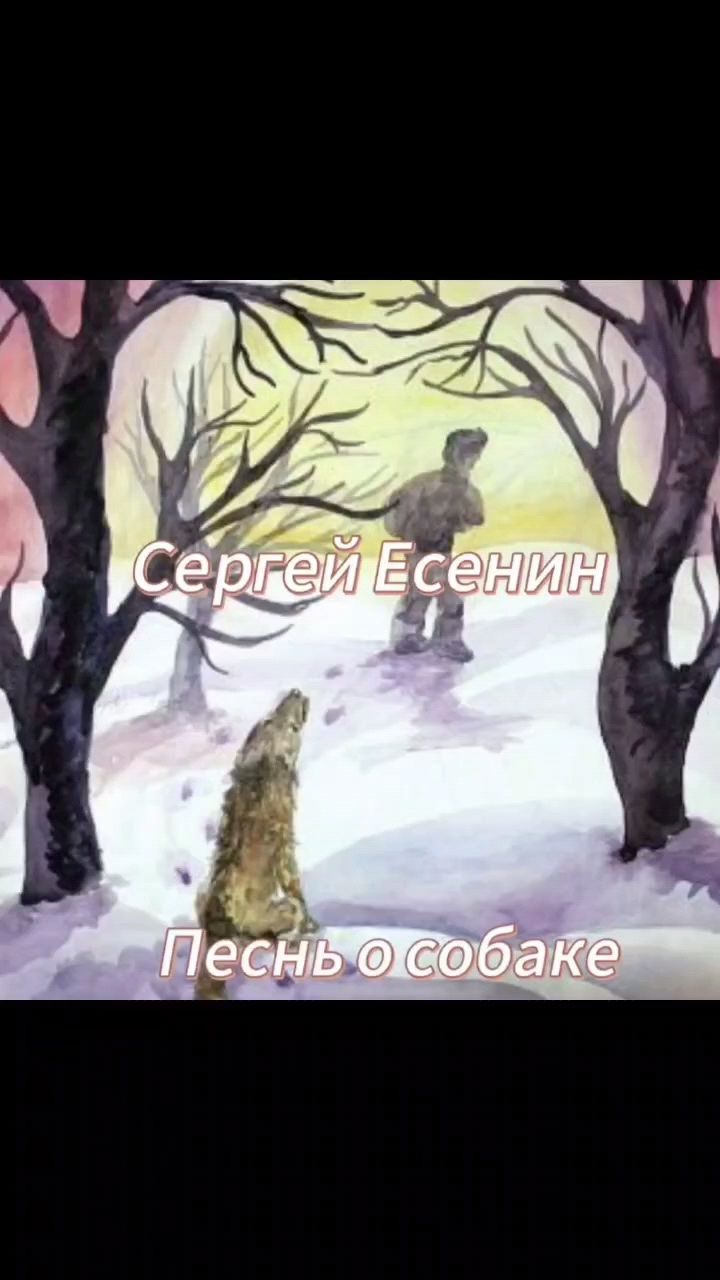 Iraromstar в LOOKY. . С. Есенин "Песнь о с...