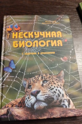 Looky_1706445328312 в LOOKY. . [#деньроссии ](деньр...