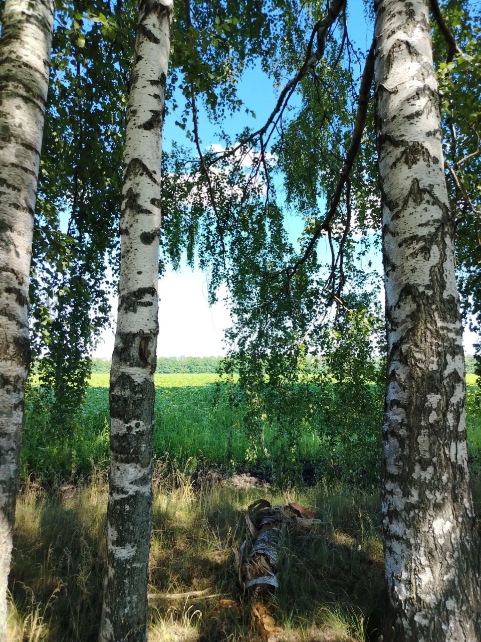 Вика Наумова в LOOKY — фото 4