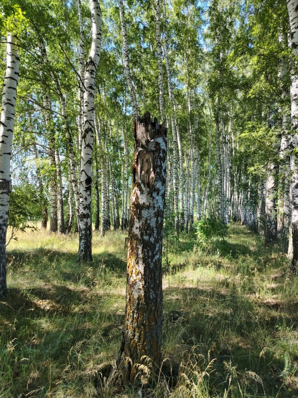 Вика Наумова в LOOKY — фото 2
