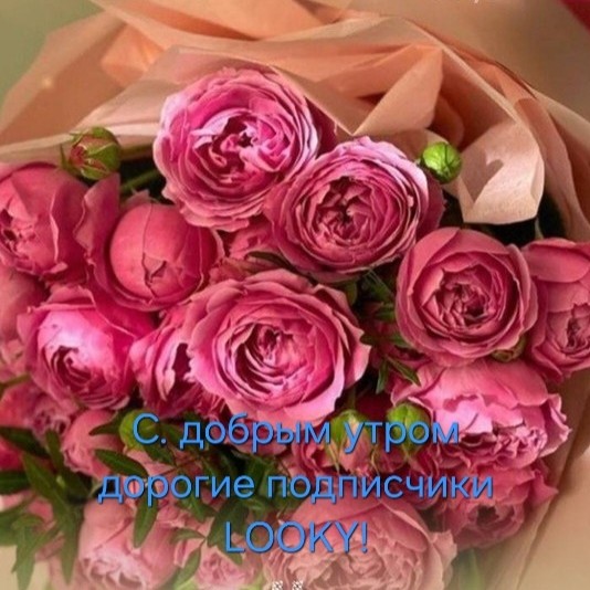 ДедМед в LOOKY — публикация