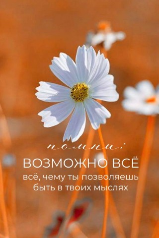 Looky_174802264189788 в LOOKY. . 