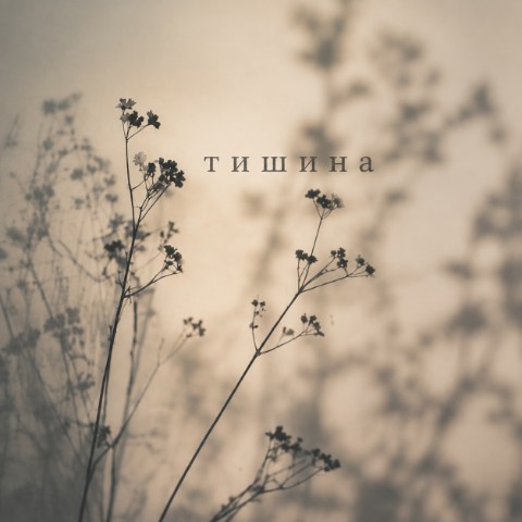 dark_pages_kskte9ps1k в LOOKY. . Друзья, сегодня свет...