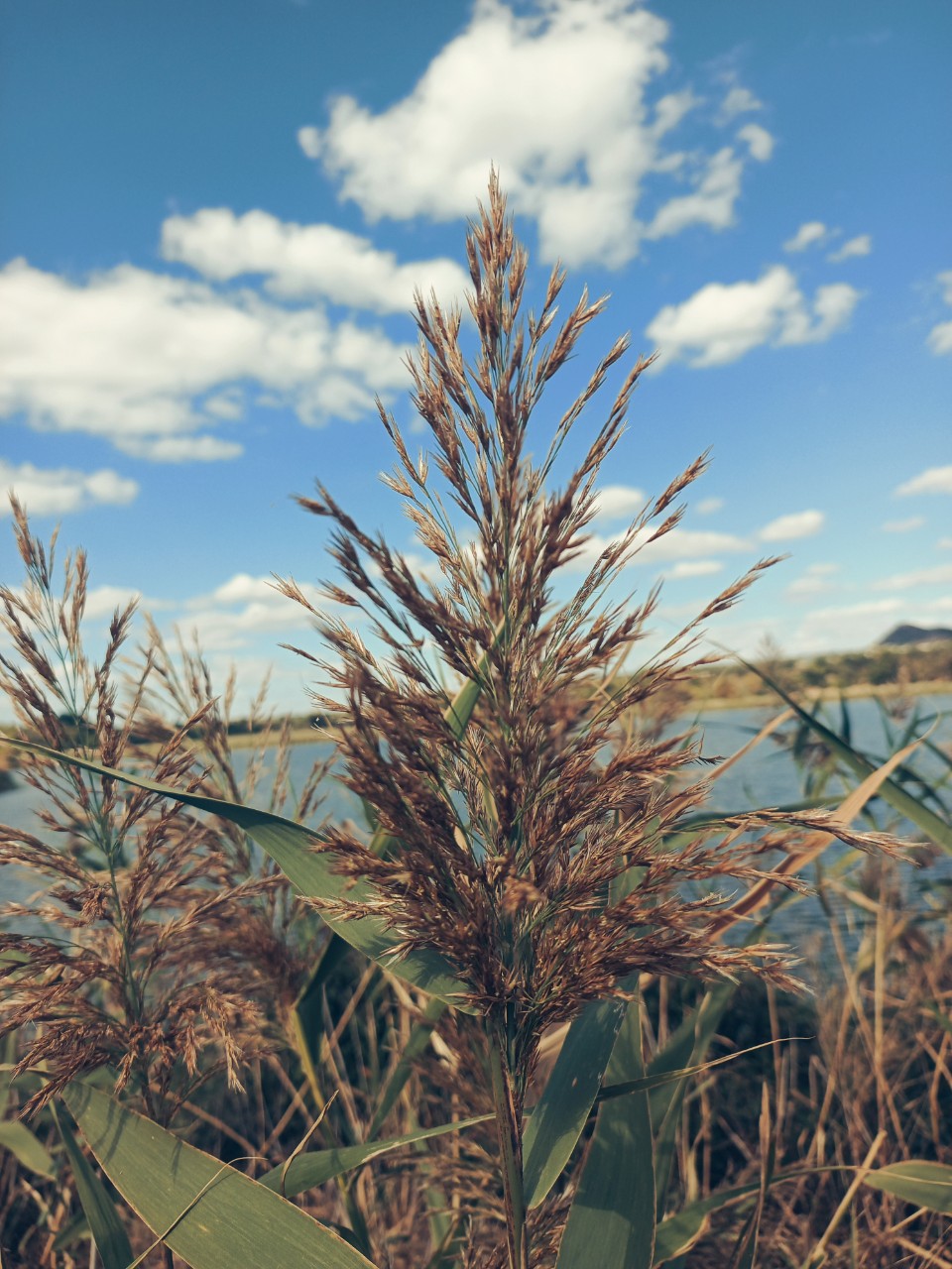 nastya_kareglazaya в LOOKY — фото 2