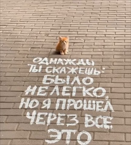 Natali4life в LOOKY. . ✨#тольковперед#никог...