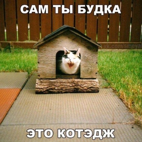 Looky_1698439775933 в LOOKY. . 