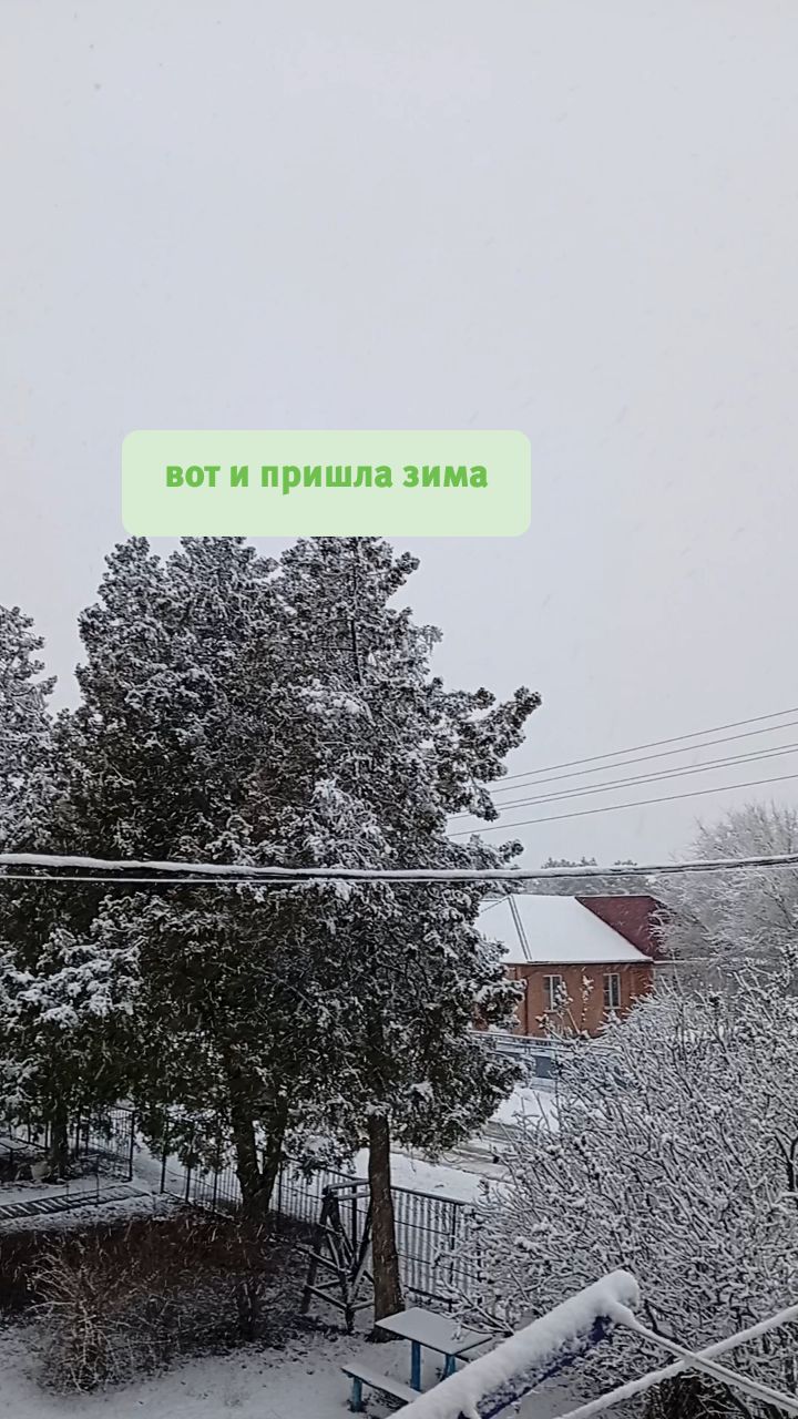 Looky_1670790109345 в LOOKY. . 