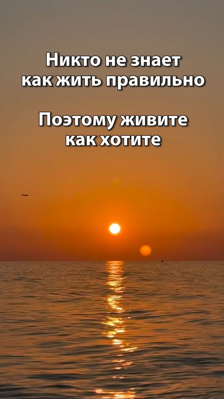 САНчез в LOOKY. . Совет
