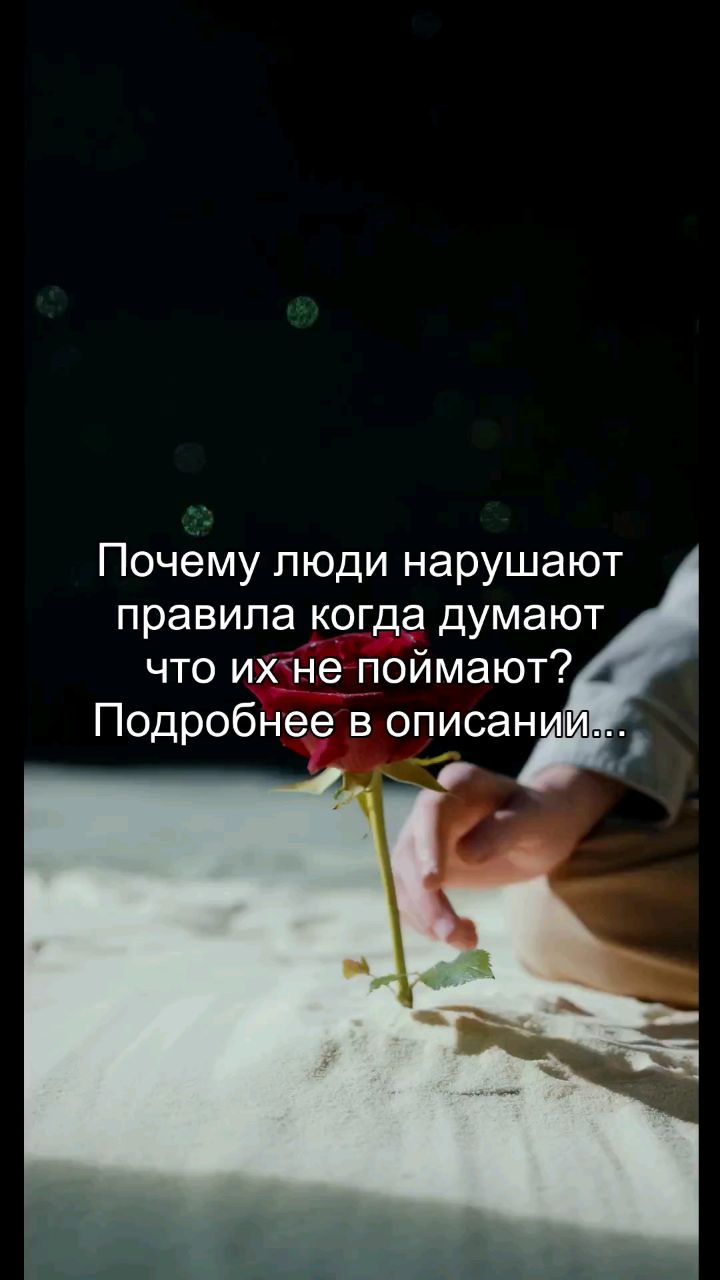 Looky_178372234553153 в LOOKY. #правила,#безнаказанность,#честность,#психология,#этика. Ты нарушаешь правила...