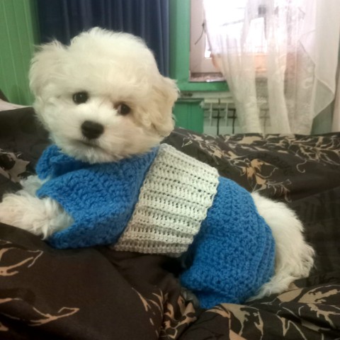 Looky_177634692293530 в LOOKY. . 