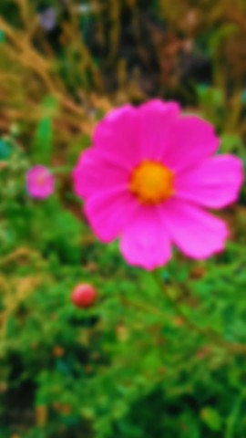 Rina1991 в LOOKY. . 