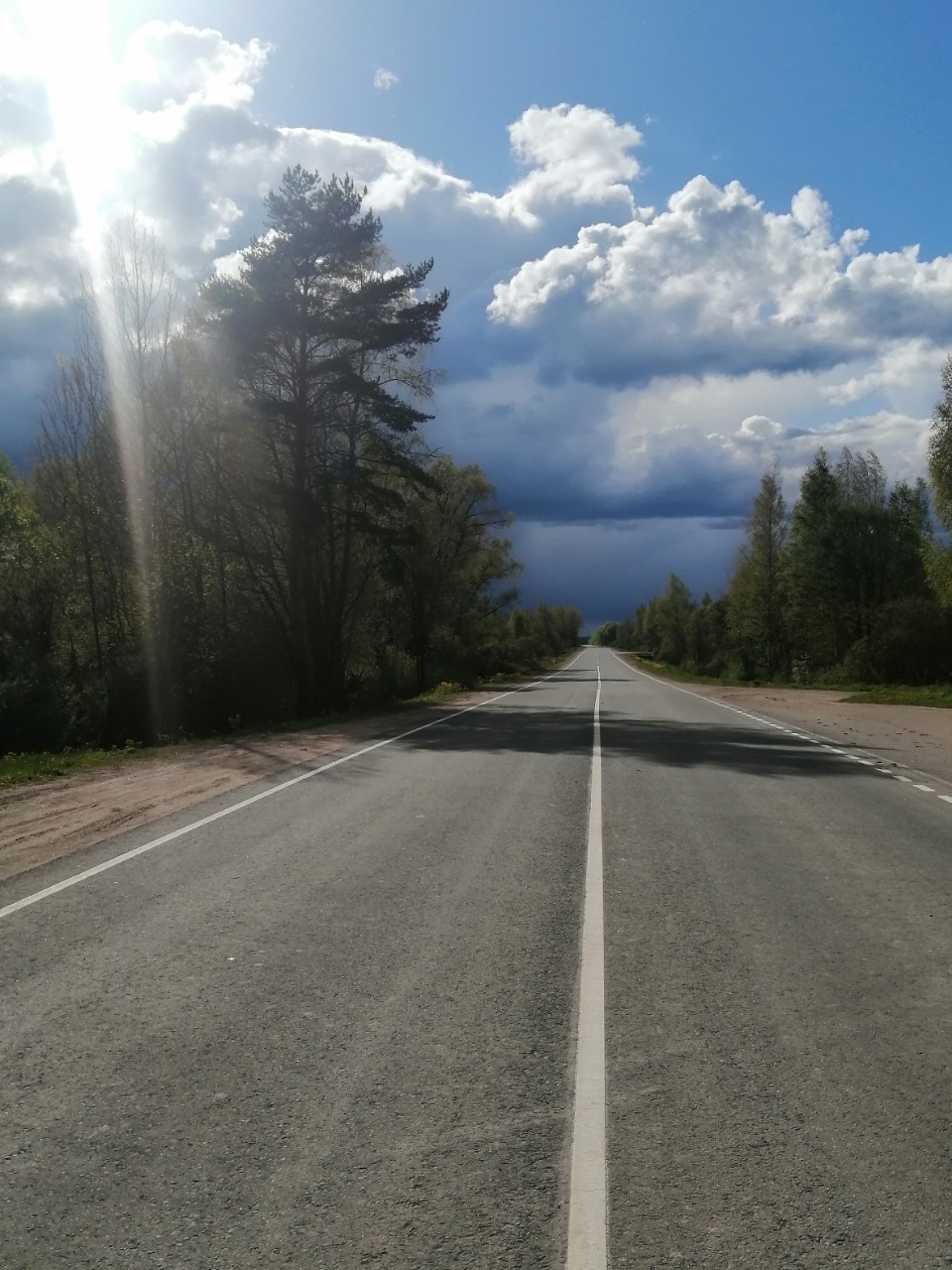 lana_3116