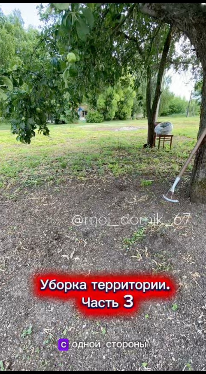  в LOOKY — Уборка территории. Часть 3. #дом #дача #уборка #уборкатеррит