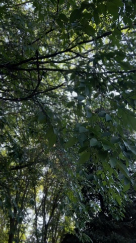 max.videodirector в LOOKY. . Скоро все изменится