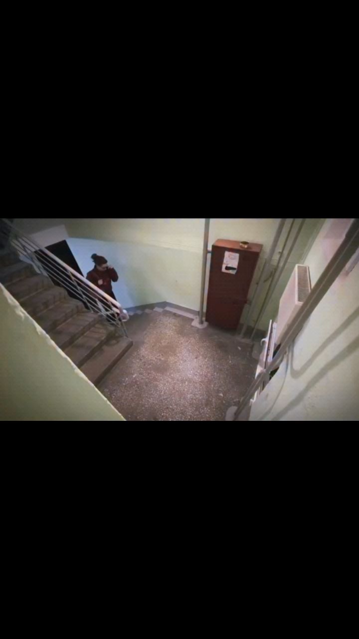 всякие мульты в LOOKY. . Моя соседка 🤣