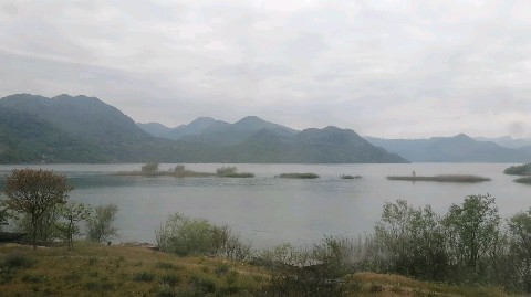 silakva в LOOKY. . Скадарское озеро